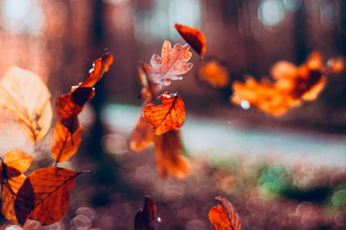 Malanni stagionali: scopri la linea MIRABILUS NATURALSALUS