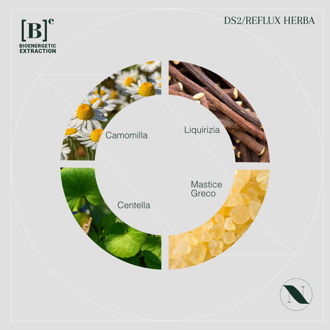 Integratore naturale per reflusso e acidità gastrica - DS2/REF-LUX HERBA