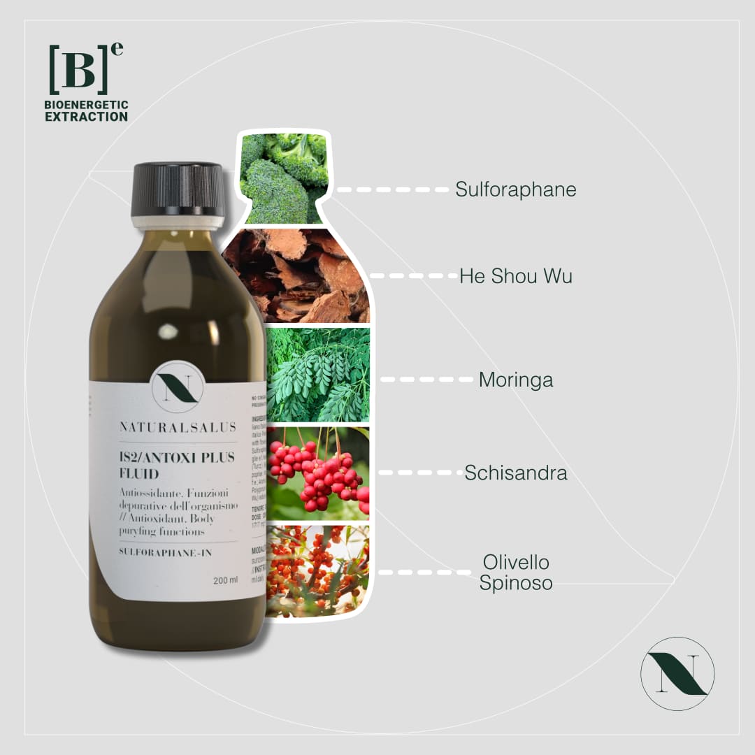 Percorso intestino in equilibrio (KIT del Benessere Gastrointestinale)